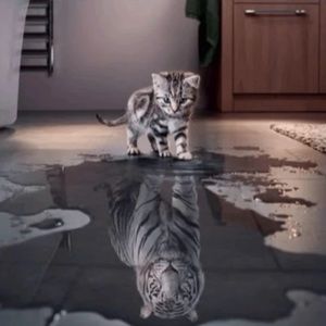 Meet your Posher, Kumo